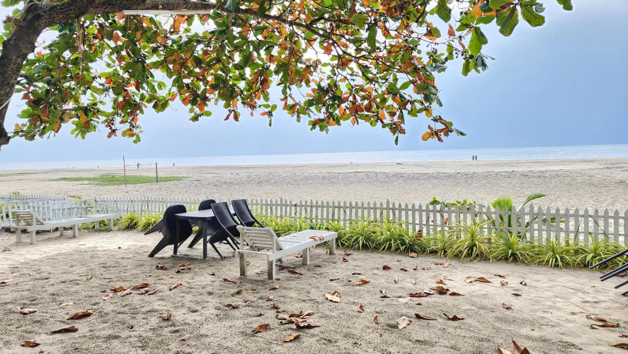 Palm Beach Resort, Alleppey アーラップーザ県 エクステリア 写真